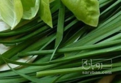 فروش تره هکتاری