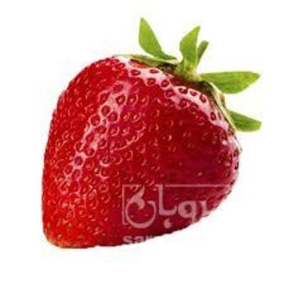 فروش توت فرنگی