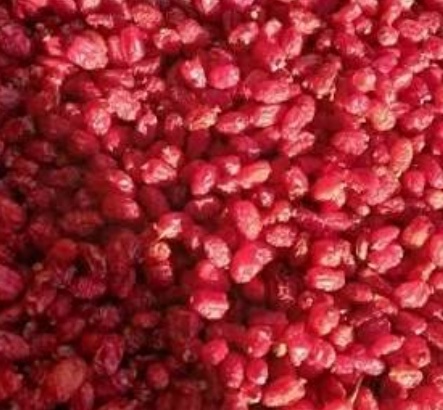 فروش زرشک زیر تالاری