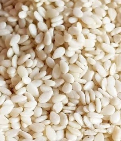 فروش کنجد سفید