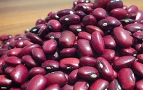 فروش لوبیا قرمز