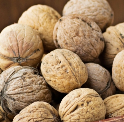 فروش گردو