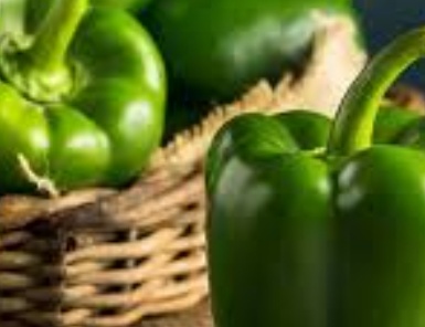 فروش فلفل دلمه ای