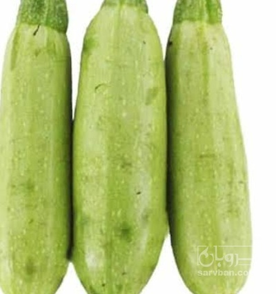 فروش کدو