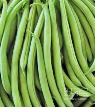 فروش لوبیا سبز