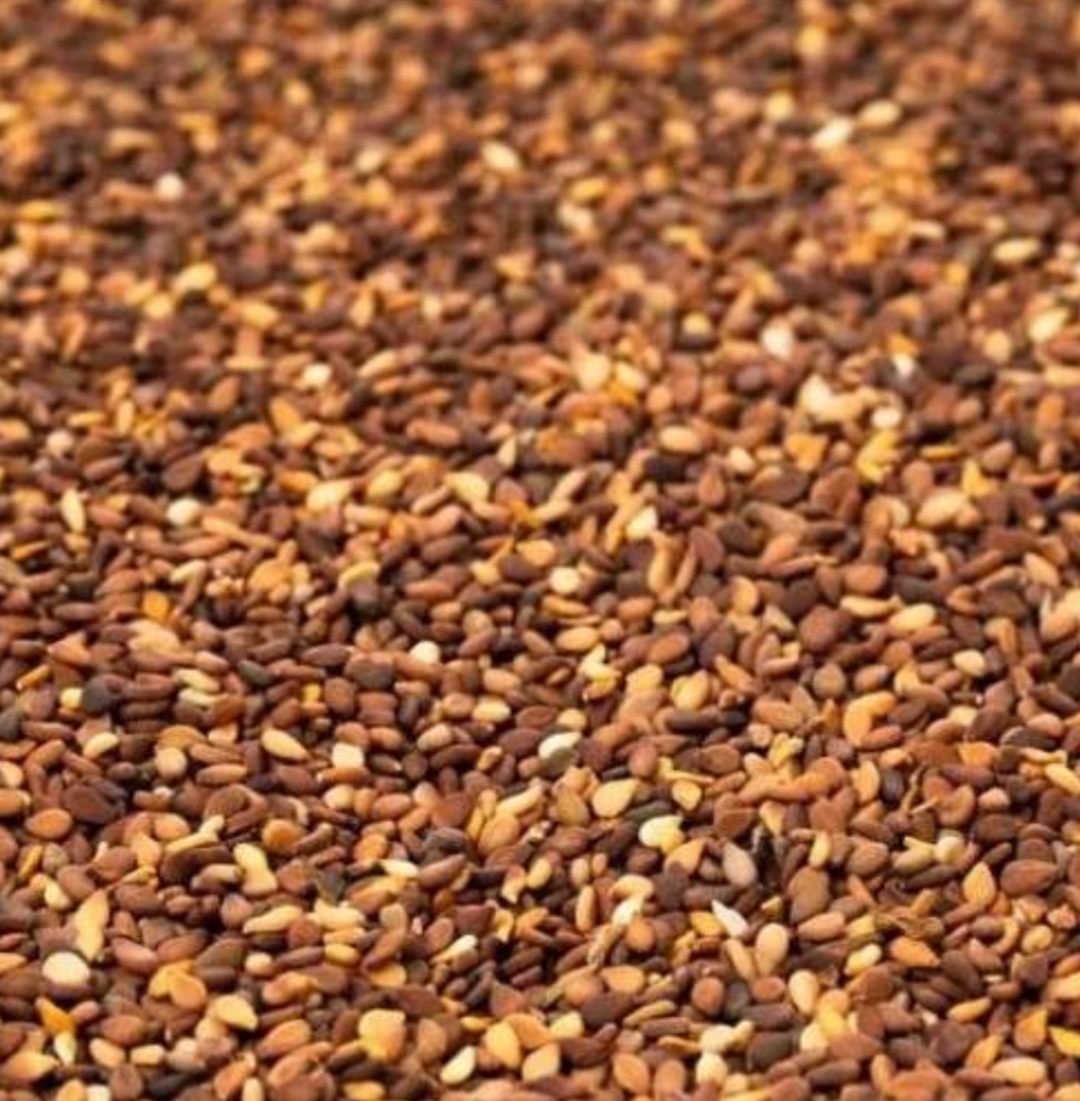 فروش کنجد قهوه ای