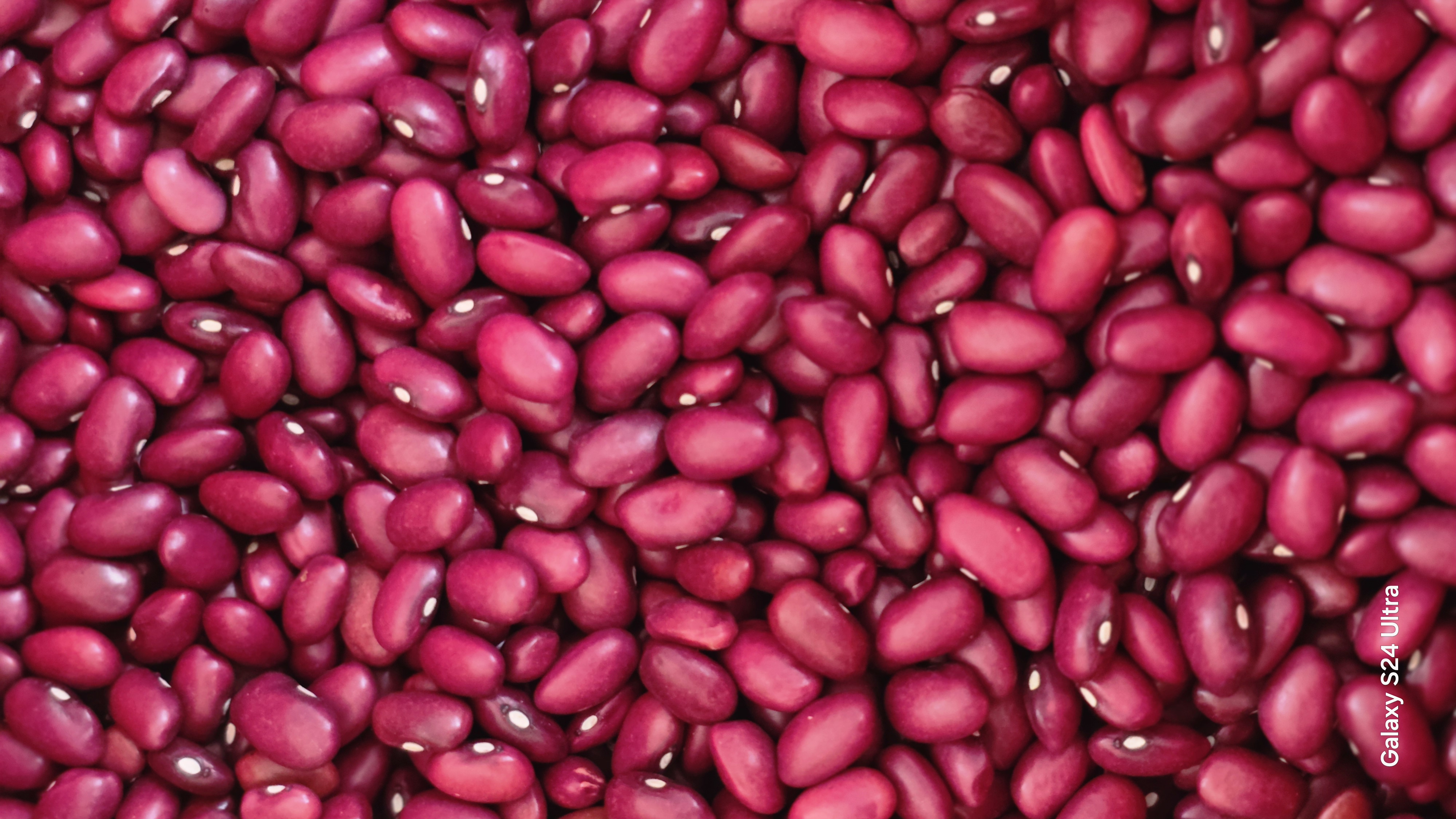 فروش لوبیا قرمز