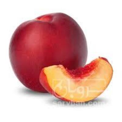 فروش شلیل