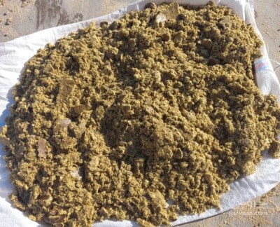 فروش کنجاله پنبه دانه