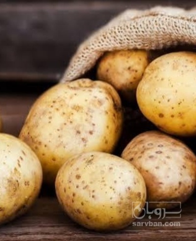 فروش سیب زمینی اسپریت