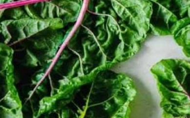 فروش برگ چغندر