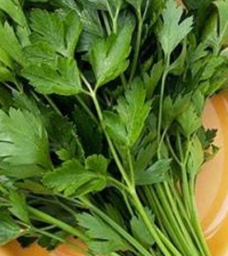 فروش جعفری تازه