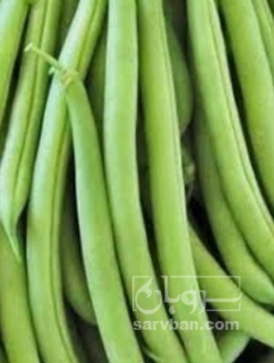 فروش لوبیا سبز