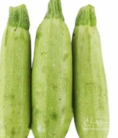 فروش کدو