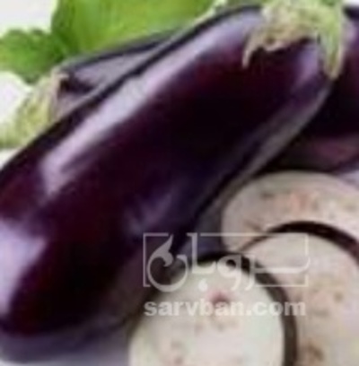 فروش بادمجان