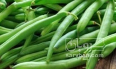 فروش لوبیا سبز
