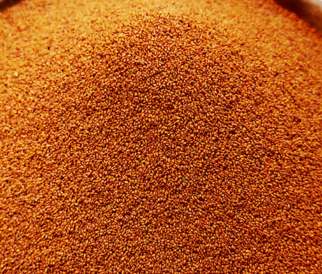 فروش خاکشیر (گیاه‌ دارویی)