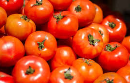 فروش گوجه فرنگی