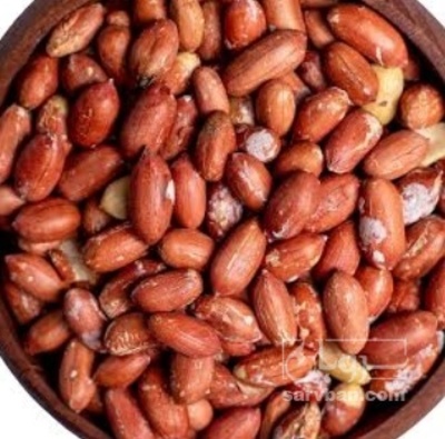 فروش بادام زمینی برشته