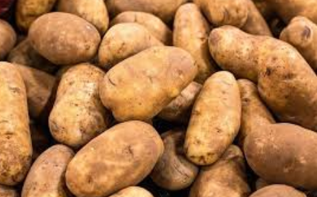 فروش سیب زمینی
