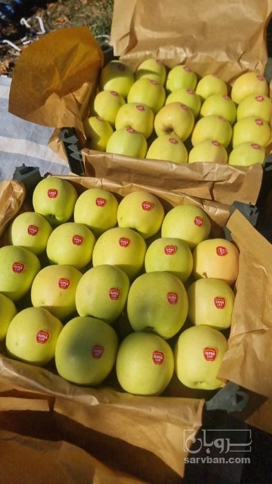 فروش سیب