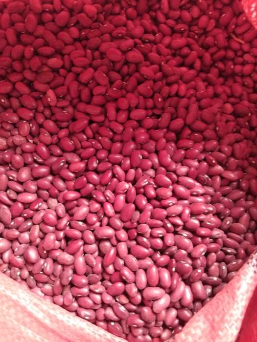 فروش لوبیا قرمز
