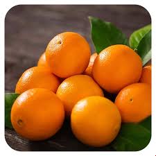 فروش پرتقال خونی