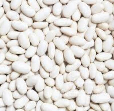 فروش لوبیا سفید