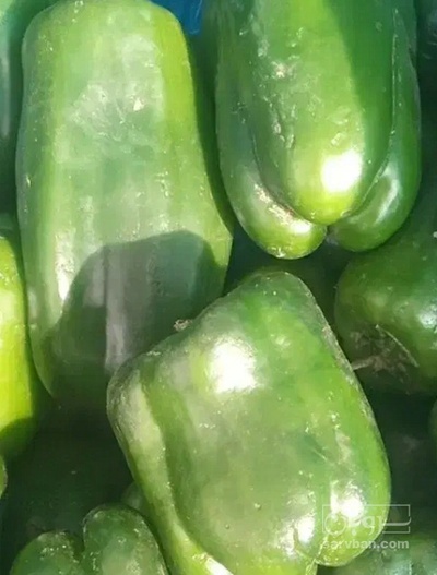 فروش فلفل دلمه ای