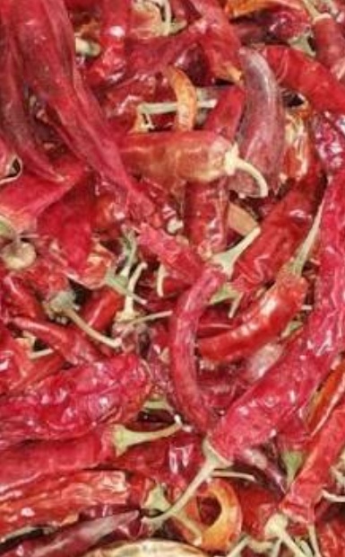 فروش فلفل قرمز خشک