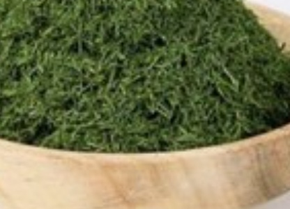 فروش شوید خشک (گیاه‌ دارویی)