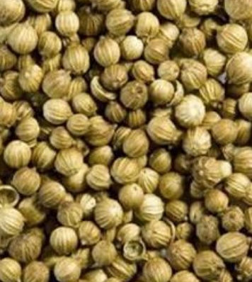 فروش تخم گشنیز (گیاه‌ دارویی)