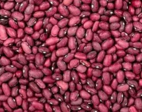 فروش لوبیا قرمز