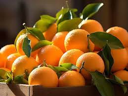 فروش پرتقال تامسون