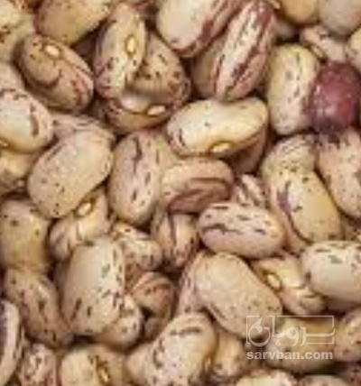 فروش لوبیا چیتی