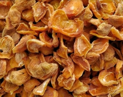 فروش برگه قیسی