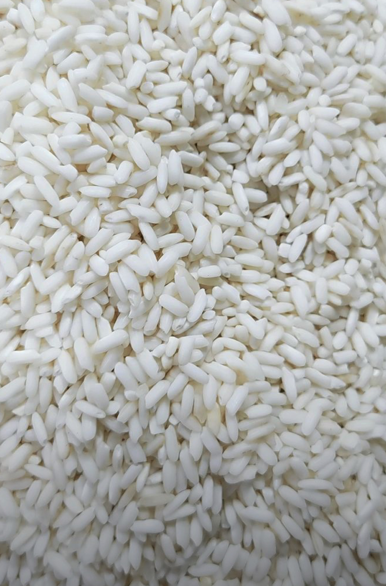 فروش شلتوک برنج عنبربو