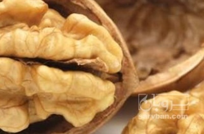 فروش گردو
