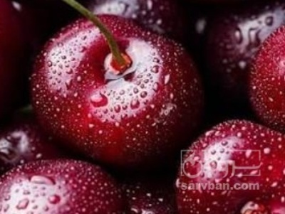 فروش گیلاس