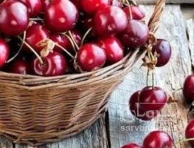 فروش آلبالو گوشواره
