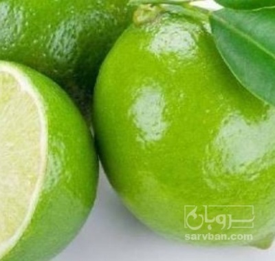 فروش لیمو ترش