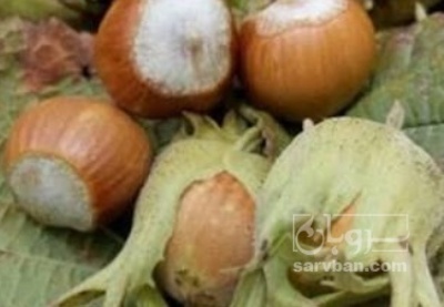 فروش فندق