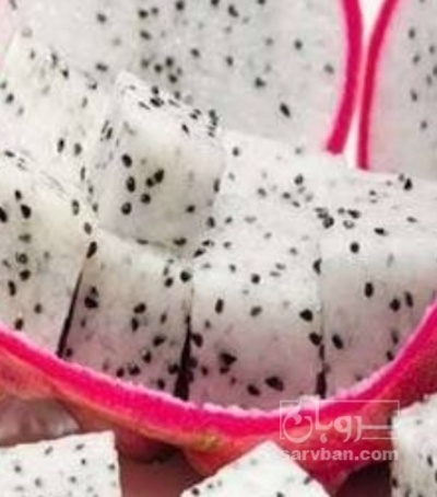 فروش میوه کاکتوس (دراگون فروت) سفید
