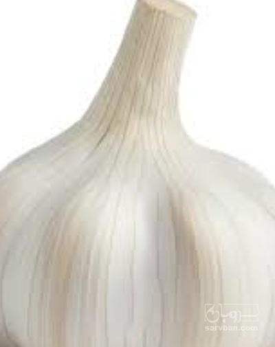 فروش سیر