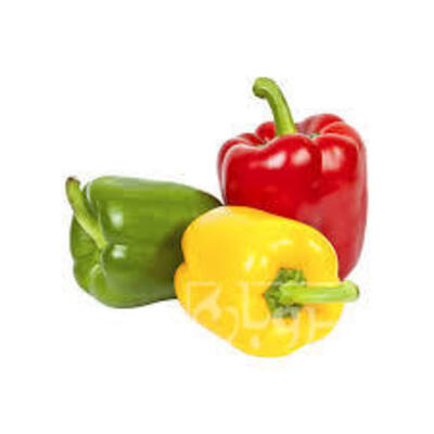 فروش فلفل دلمه ای رنگی