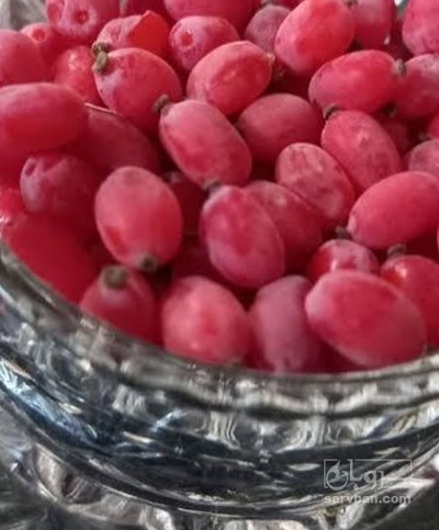 فروش زرشک دانه آیی منجمد