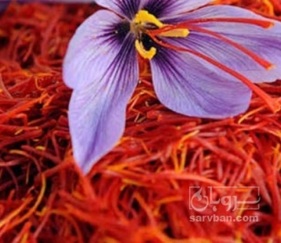 فروش زعفران  شکسته (گیاه‌ دارویی)