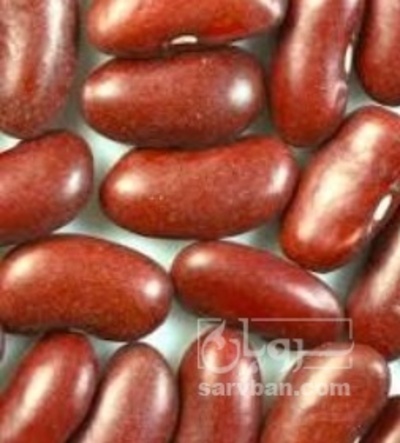 فروش لوبیا قرمز