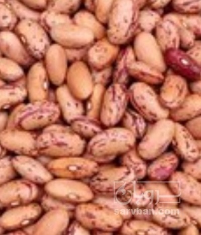 فروش لوبیا چیتی