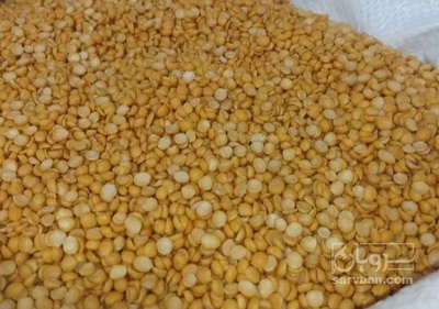 فروش نخود کفتری - لپه